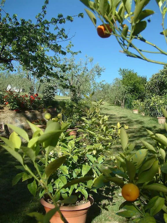 Bed and Breakfast A Casa Di Olivo San Jacopo al Girone Bed & Breakfast