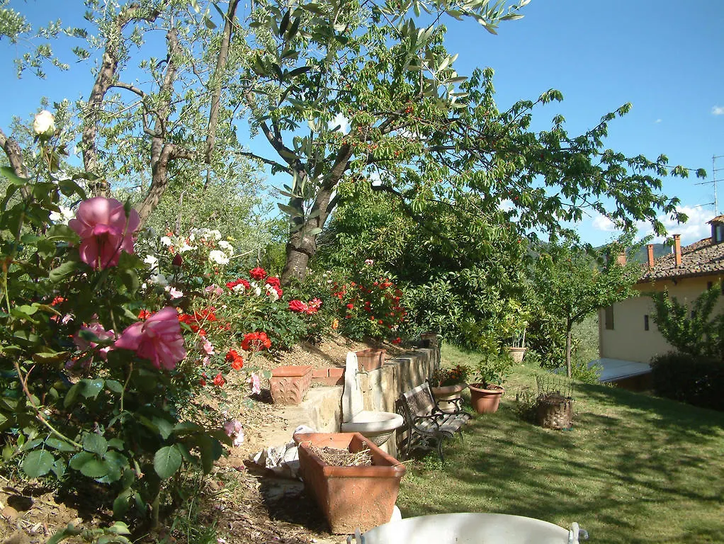 Bed and Breakfast A Casa Di Olivo San Jacopo al Girone 2*,  Italia