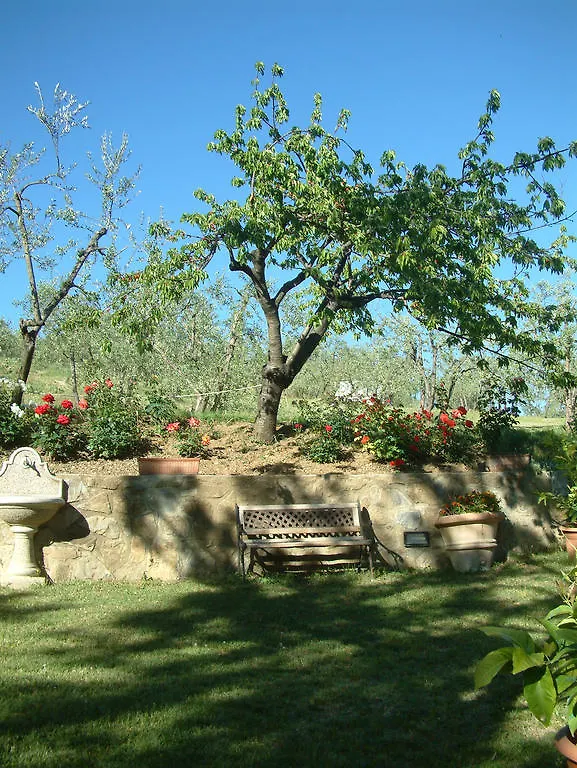 ** Bed & Breakfast Bed and Breakfast A Casa Di Olivo San Jacopo al Girone Italia