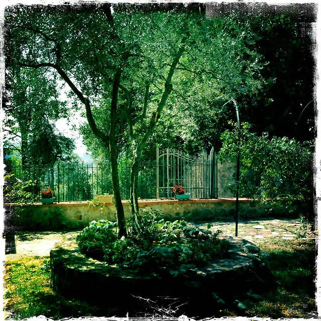 Bed & Breakfast Bed and Breakfast A Casa Di Olivo San Jacopo al Girone