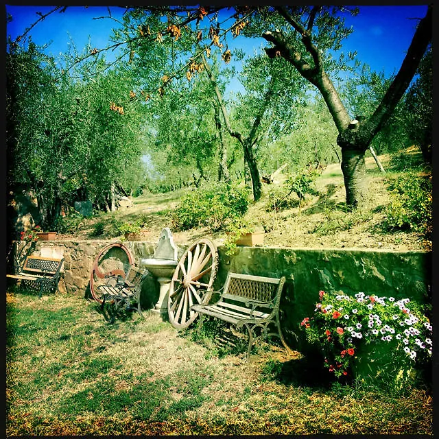 Bed and Breakfast A Casa Di Olivo San Jacopo al Girone Italia